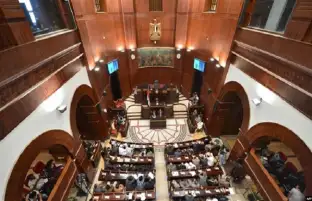 زراعة الشيوخ: زيادة تكاثر الحشرات نتيجة ارتفاع الحرارة يُسبب أزمة غذاء