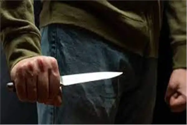 رفضت الزواج منه.. الداخلية تكشف تفاصيل مقتل سيدة على يد شخص بالسكين في المنوفية