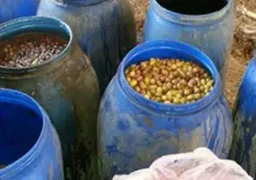 التحفظ على 5 أطنان مخللات فاسدة في الغربية