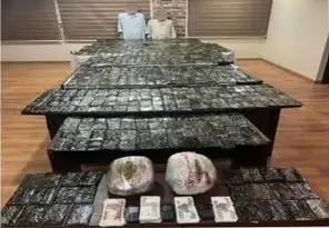ضبط عنصرين إجراميين بحوزتهم حشيش وهيدرو بـ7 ملايين و120 ألف جنيه في الإسماعيلية