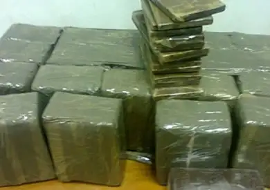 السجن 10 سنوات وغرامة 50 ألف جنيه لمتهم بحيازة الحشيش في الإسكندرية
