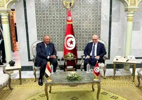شكري يؤكد لنظيره التونسي دعم مصر لإجراءات وجهود الرئيس قيس سعيد الرامية لتحقيق الاستقرار