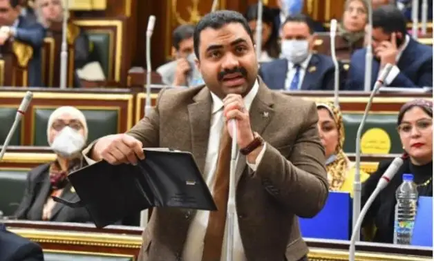 برلمانى يطالب بتنفيذ التكليفات الرئاسية لمنع تكرار انقطاع التيار الكهربائي
