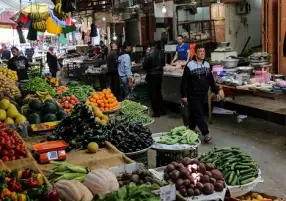 الزراعة: 5.1 مليون طن حجم صادرات مصر من الخضراوات