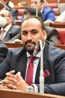 برلماني عن القمة الثلاثية: الحفاظ على الحقوق الفلسطينية المشروعة أولوية لدى مصر