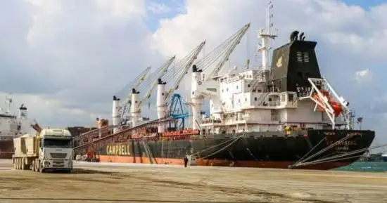 تداول 5243 شاحنة للبضائع والحاويات في ميناء دمياط