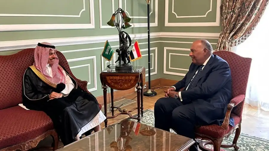 وزير الخارجية ونظيره السعودي يبحثان سبل توطيد العلاقات الثنائية