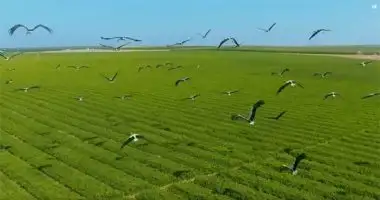 مستشار وزير الزراعة: الدولة تنحت في الصخر.. وليس من العدل لومنا على استصلاح الصحراء
