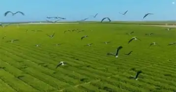 مستشار وزير الزراعة: الدولة تنحت في الصخر.. وليس من العدل لومنا على استصلاح الصحراء