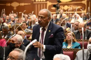 النائب هاني العسال: العفو الرئاسى عن أحمد دومة تأكيد لرغبة الدولة في مد جسور الثقة والثفاهم