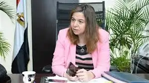 رئيس صندوق الإسكان الاجتماعي: نطرح إعلانا استثنائيا قريبا