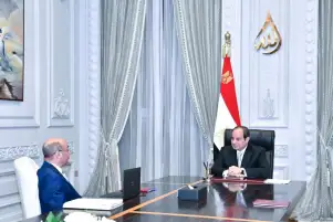 السيسي يوجه بتوسيع نطاق خدمات الشهر العقاري بالمحافظات