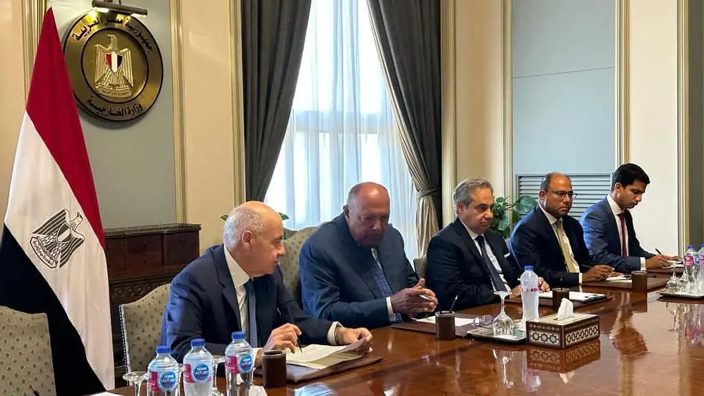 شكري يؤكد على ضرورة الانتهاء من تحديث منظومة الخدمات القنصلية
