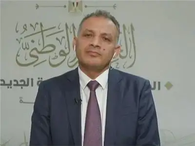 محمد فايز فرحات: لا يمكن تحقيق مكاسب استراتيجية بين مصر والسودان بدون استقرار
