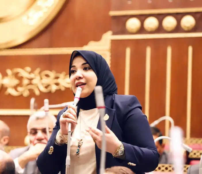 النائبة دينا هلالي: جلسات الحوار الوطني تدفع بمسارات جديدة لصالح استراتيجية حقوق الإنسان وتقوية الحياة السياسية