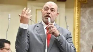 "تضامن النواب": مواجهة أزمة الإنفجار السكانى تبدأ من الأسرة المصرية