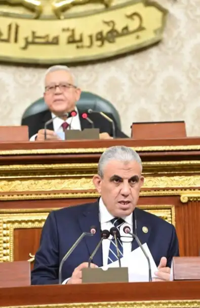 النائب عادل عبد الفضيل: 250 ألف عامل بالمالية والضرائب والجمارك يعلنون تأييدهم ترشح الرئيس السيسي لولاية جديدة