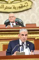 النائب عادل عبد الفضيل: 250 ألف عامل بالمالية والضرائب والجمارك يعلنون تأييدهم ترشح الرئيس السيسي لولاية جديدة