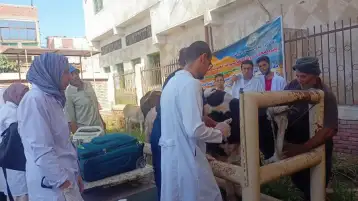 الزراعة علاج وفحص أكثر من 6500 رأس ماشية مجانا لصغار المربين بمحافظة دمياط
