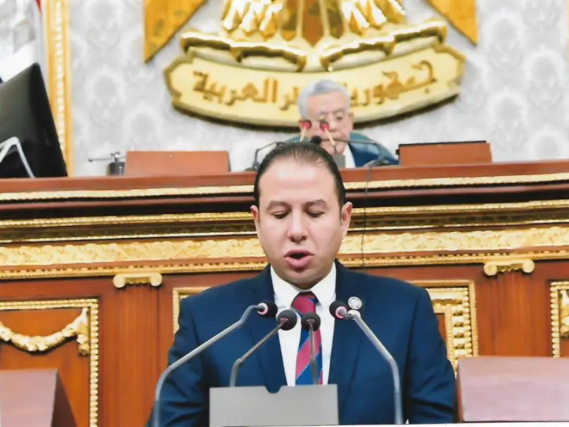 النائب حسن عمار: كلمة الرئيس بقمة العشرين عكست الأولويات اللازمة لدفع عجلة العمل الإفريقى نحو التحول الأخضر