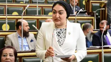 النائبة أسماء الجمال: الرئيس السيسي أنتصر للشعوب ودعا لتحقيق تنمية للجميع في قمة العشرين بالهند