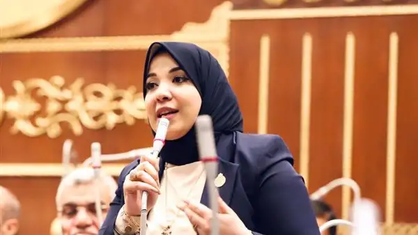 النائبة دينا هلالى: قرارات الرئيس السيسي تؤكد انحيازه للمواطن المصرى