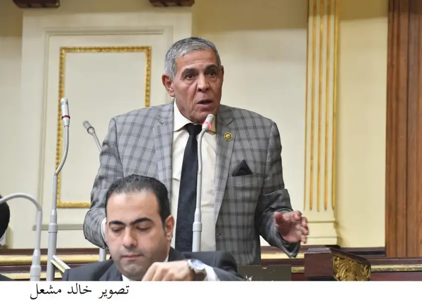 النائب أمين مسعود: الرئيس السيسى فاجأ المصريين بقراراته التاريخية لإسعادهم