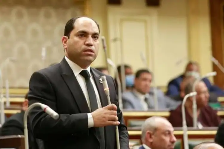 النائب عمرو درويش: التعدي على ما يقرب من 40 ألف فدان خلال 7 سنوات