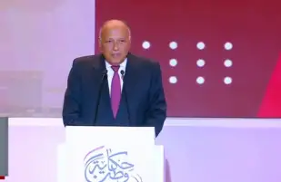 شكري: حقوق الإنسان محل اهتمام الرئيس.. ومستمرون بالتصدي لمحاولات استغلال هذا الملف
