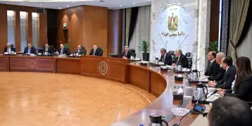 متحدث الحكومة: إعلان تفاصيل مبادرة خفض الأسعار الأسبوع المقبل