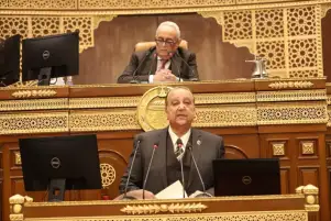 فوز نبيل دعبس برئاسة لجنة التعليم والبحث العلمي بمجلس الشيوخ