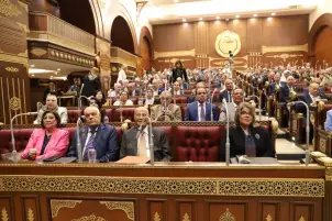 رفع جلسة الشيوخ.. والعودة للانعقاد 22 أكتوبر المقبل