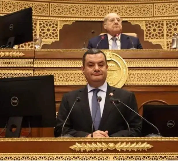 النائب أكمل نجاتي يفوز بمنصب أمين سر لجنة الشئون الاقتصادية والمالية بمجلس الشيوخ