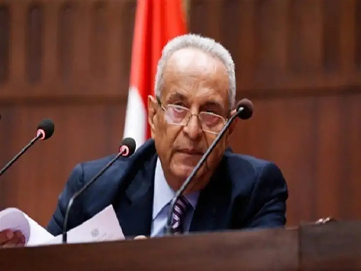 وكيل الشيوخ: لم يشتك أي مرشح من ضغوط بالانتخابات الرئاسية.. وحروب الجيل الرابع تتربص بمصر