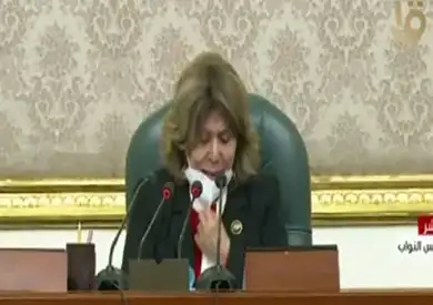 فريدة الشوباشي: الدولة تتعرض لحرب شائعات رهيبة.. والواقع يكذبها