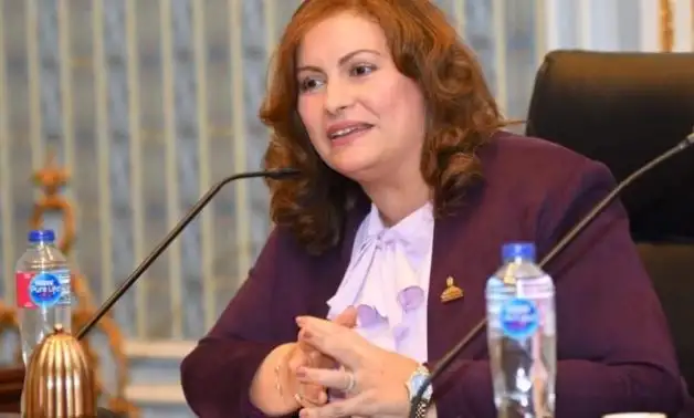 النائبة عايدة نصيف: البرلمان الأوروبي يستقي معلوماته عن مصر من مصادر غير صحيحة