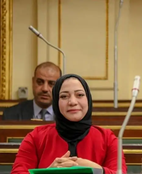 برلمانية تستنكر بيان البرلمان الأوروبي: مضلل ويحمل مغالطات وأكاذيب بشأن الأوضاع في مصر
