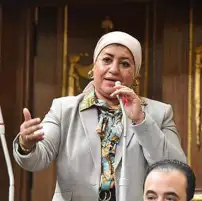 نائبة تطالب بالتحاق دفعات معهد الفلزات بمصنع الألومنيوم