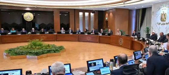 اعتماد ضوابط كمية الأقطان المطلوبة لتلبية احتياجات الصناعة المحلية.. طالع أبرز قرارات مجلس الوزراء اليوم