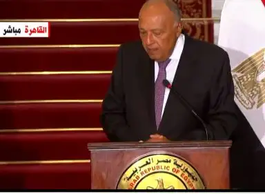 شكري: رؤية مشتركة بين مصر وتركيا لتخفيف الآثار الإنسانية الخطيرة عن سكان قطاع غزة