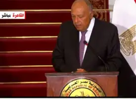 شكري: رؤية مشتركة بين مصر وتركيا لتخفيف الآثار الإنسانية الخطيرة عن سكان قطاع غزة