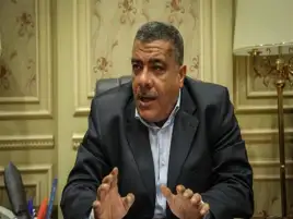 النائب معتز محمود يطالب بوضع رؤية للنهوض بصناعة الأخشاب