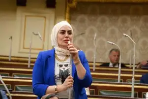 النائبة رحاب موسى: لقاء الرئيس السيسي ووزير خارجية أريتريا بمثابة تأكيد على دعمه لتحقيق التنمية الشاملة الإفريقية