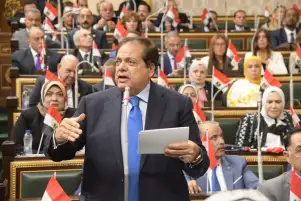 وكيل النواب: عملية طوفان الأقصى أحيت القضية الفلسطينية.. ومخطط التجهير مفضوح