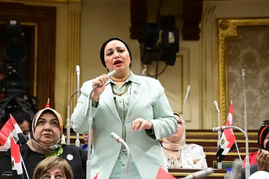 وكيل "قوى النواب": تكلفة زيادات حزمة الحماية الاجتماعية 60 مليار جنيه
