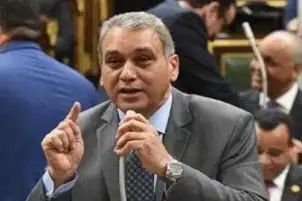 وزير شئون المجالس النيابية: 1.1 مليار دولار حصيلة متوقعة لمبادرة استيراد سيارات المصريين بالخارج