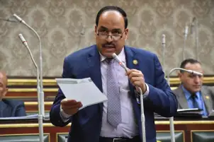 برلمانى يطالب بموقف عربى اسلامى موحد وحاسم لمواجهة المجازر الإسرائيلية فى غزة