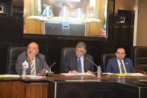 "صحة النواب" تناقش مشروع قانون مكافحة الجذام.. وتطالب بتنفيذ توصياتها