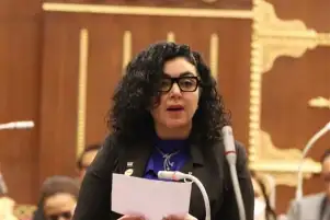 عضو خارجية الشيوخ : المؤتمر الإقليمي والدولي الذي دعت له مصر يضع القضية الفلسطينية علي جدول اهتمامات العالم بعد نسيان