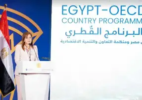 التخطيط: الذكاء الاصطناعي يساهم بـ320 مليار دولار في اقتصاد المنطقة العربية بحلول 2030